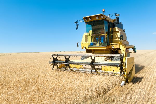 Invertir en fincas rústicas de cereal.